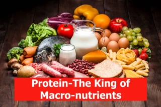 Protein-The King of Macro-nutrients